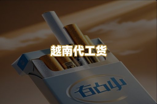 越南代工货